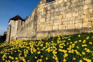 York : Visite guidée à pied pour la photographie