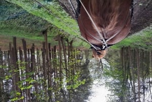 York: Paseo privado en coche de caballos y té de la tarde