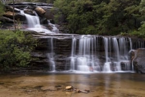 2-Day Hike to Uluguru Mountain, Camping & Barbeque