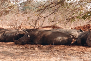2 Day Zambezi Rafting Rhino Safari &Chobe National Park Tour
