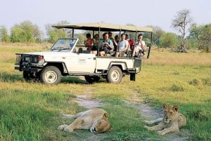 3 Day Private Tour from Livingstone - 3 Countries Game Drive