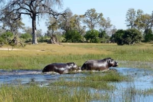 3-Day Zambia Safari Adventure to Kafue National Park