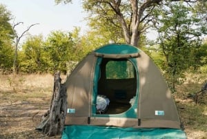 3-Day Zambia Safari Adventure to Kafue National Park