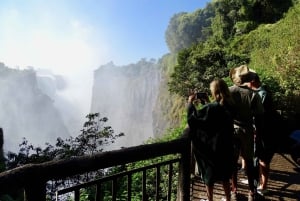 3 Days Explore Zambia, Zimbabwe and Chobe Park in Botswana