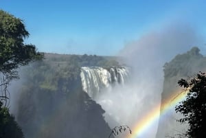 4 Days Victoria Falls Hwange National Park Trip