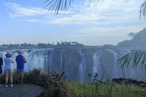 Safari de 5 jours dans le parc national de Chobe et chutes Victoria