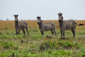 5-dages Liuwa Plains-safari med måltider