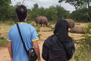 A Private Game Drive Plus White Rhino short walk