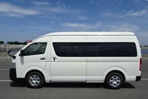 Aiport transfer - Livingstone