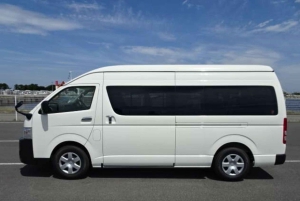 Трансфер из аэропорта - Ливингстон