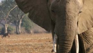 Alendo Travel Tours & Car Hire