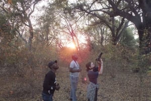 Obserwacja ptaków nad Zambezi w Livingstone o wschodzie słońca