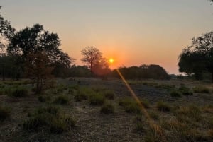 Obserwacja ptaków nad Zambezi w Livingstone o wschodzie słońca