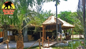 Bongwe's Big Bush Bar and Guest House