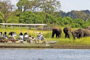 Chobe Day Trip (Botswana)