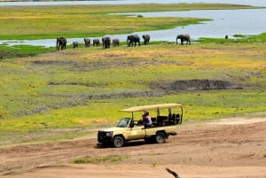 Chobe Day Trip (Botswana)