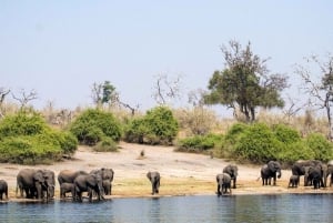 Chobe Day Trip (Botswana)