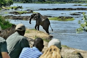 Chobe-Tagestour – Chobe-Nationalpark – mit Mittagsbuffet