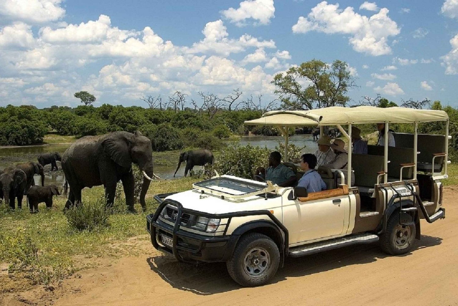 Chobe day trip from Victoria Falls