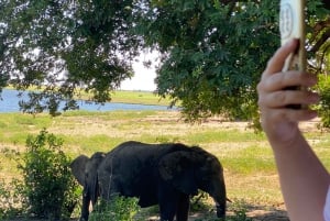 Chobe day trip