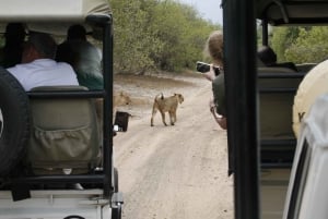 Chobe Extended Day Trip