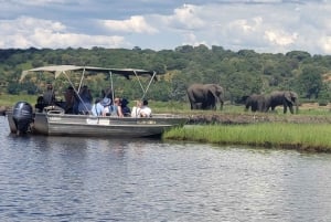 Excursión de un día a Chobe - Botsuana