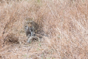 Chobe national park 3 days / 2 nights