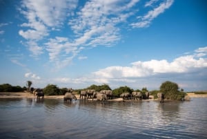 Chobe-kansallispuisto: Chobe: Päiväretki jokiristeilyllä