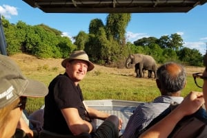 Safari i Chobe nationalpark med heldag och övernattning