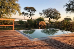 Come explore the Lower Zambezi Zambia on a weekend bushcamp