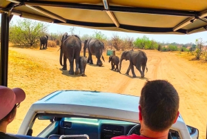 Dagtrip vanuit Victoria Falls: Chobe NP Land en Rivier Safari