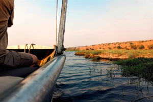 Dagtrip vanuit Victoria Falls: Chobe NP Land en Rivier Safari
