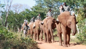Elephant Back Safari - Mukuni Big Five Safaris