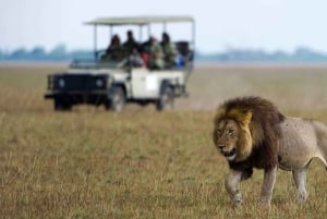 Escápate a la tranquilidad: el río Zambezi en 6 días