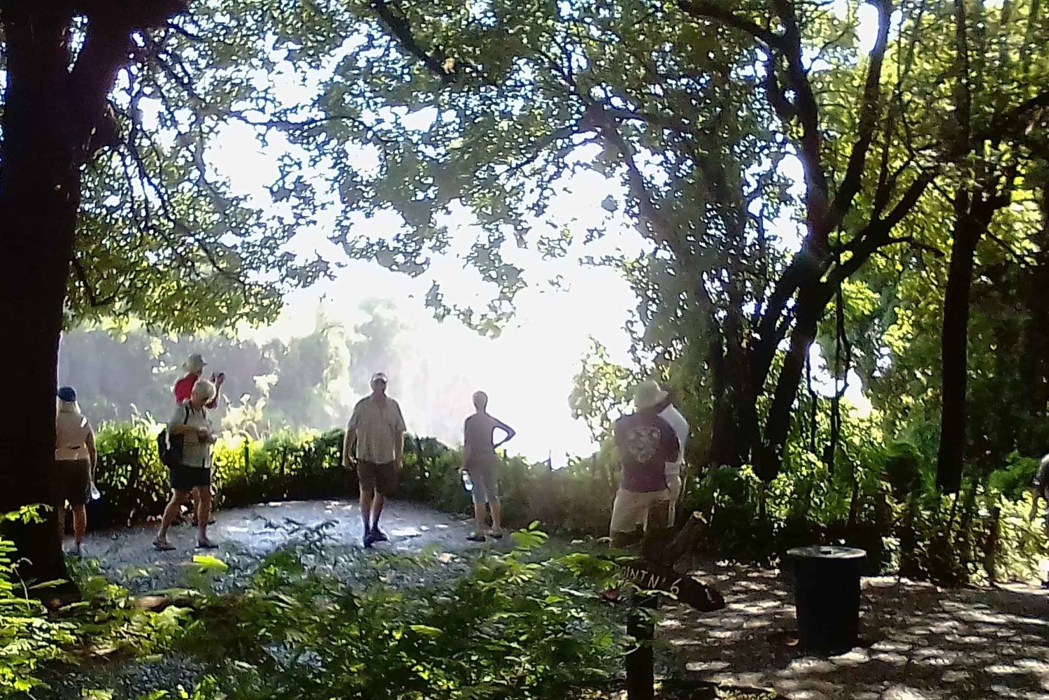 Experimenta las cataratas Victoria.