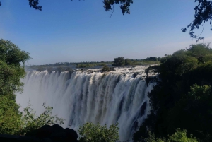 Upplev Vic Falls