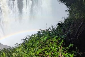 Explora as Cataratas Vitória e Mosi‑oa‑Tunya numa visita guiada exclusiva