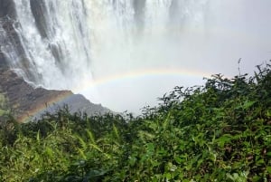 Explora as Cataratas Vitória e Mosi‑oa‑Tunya numa visita guiada exclusiva