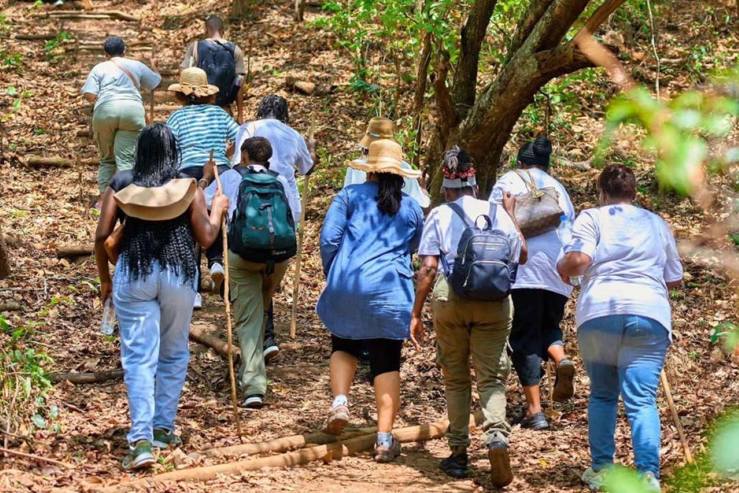 Ab Dar es Salaam: Mikumi Nationalpark Tagestour
