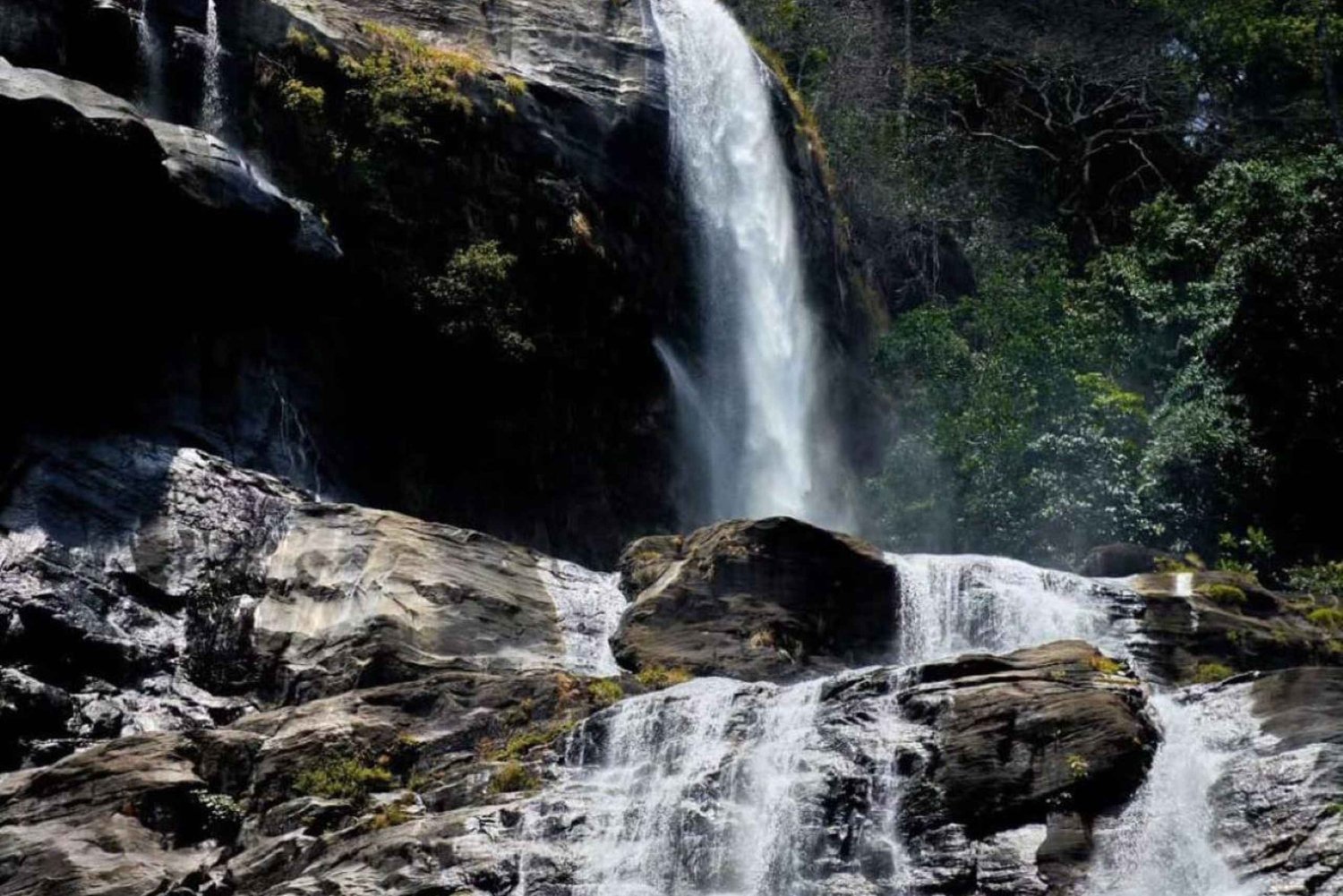 Ab Dar es Salaam: Mikumi Nationalpark Tagestour