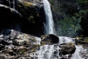 Ab Dar es Salaam: Mikumi Nationalpark Tagestour