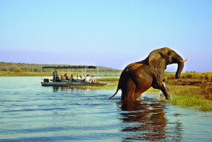 From Livingstone: Cruise & Game Drive in Chobe National Park