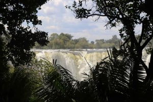 Desde Livingstone Excursión de un día a las cataratas Victoria, Zimbabue