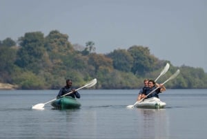 From Livingstone: Full or Half Day Canoe Safari