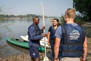 Da Livingstone: safari in canoa di mezza o intera giornata