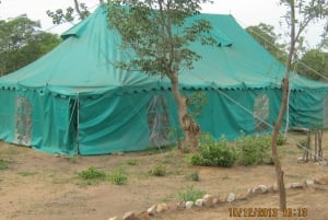 Från Livingstone: Lochinvar National Park 3 Day Birdwatching