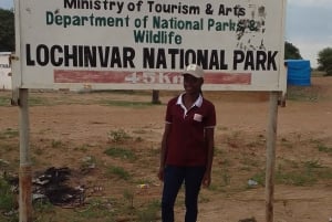 Från Livingstone: Lochinvar National Park 3 Day Birdwatching