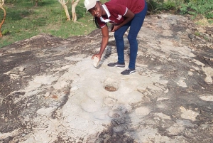 Från Livingstone: Lochinvar National Park 3 Day Birdwatching