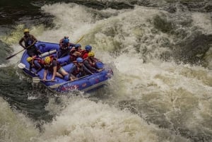 From Livingstone: Rafting with a Swim Under Victoria Falls