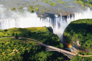 From Livingstone: Victoria Falls Day Trip